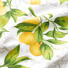 Tissu de décoration Panama Citrons – blanc/jaune citron,  thumbnail number 2