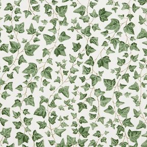 Tissu de décoration Semi-panama Lierre grimpant – blanc/vert, 