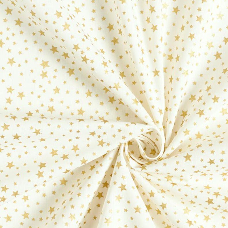 Tissu en coton Cretonne Ciel étoilé de Noël petit – blanc,  image number 4