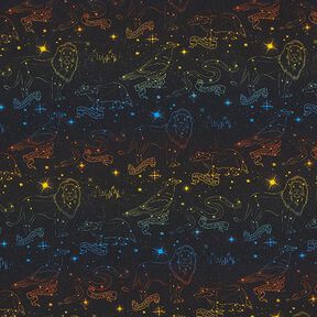 Jersey coton Tissu sous licence Emblèmes constellations Harry Potter | Warner Bros. – noir, 