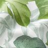 Tissu décoratif Toile grandes feuilles de monstera – blanc/vert herbe,  thumbnail number 2