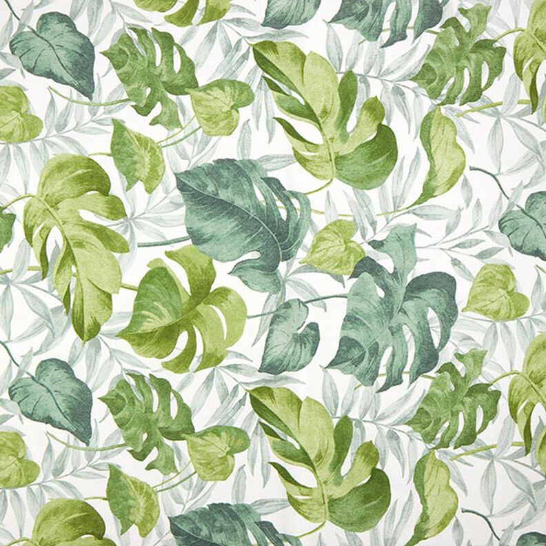 Tissu décoratif Toile grandes feuilles de monstera – blanc/vert herbe,  image number 1