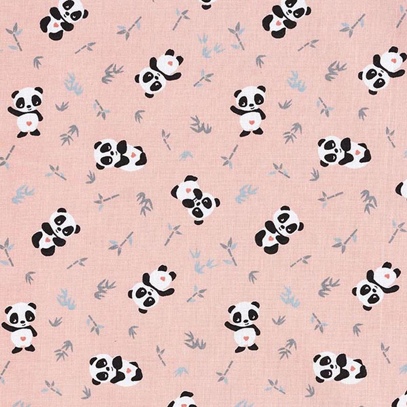 Tissu en coton Cretonne Panda câlin – rose,  image number 1