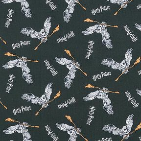 Jersey coton Tissu sous licence Harry Potter, Hedwige avec un balai | Warner Bros. – gris schiste, 