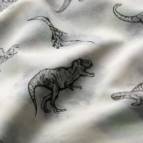 Softshell Dinosaures – gris clair, 