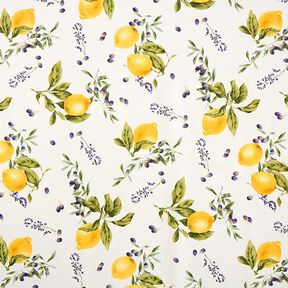 Tissu de décoration Canvas Citrons – jaune, 